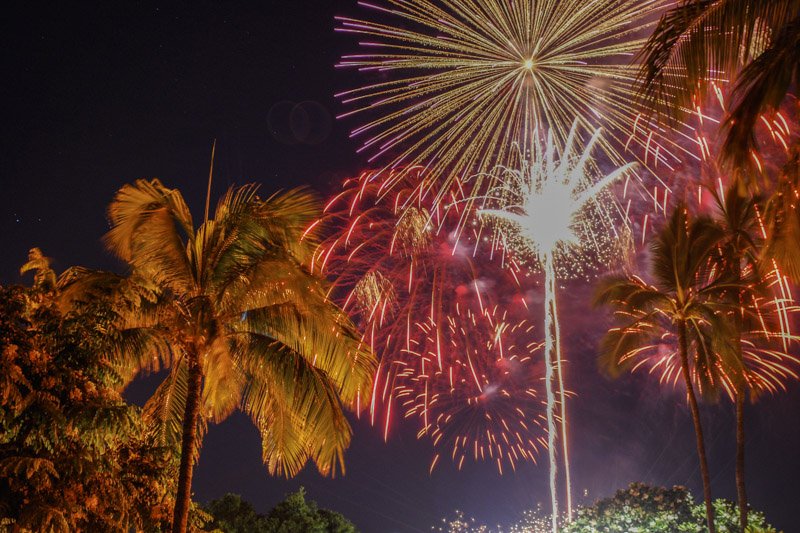 New Year's Fireworks by Jenn Findlay - Exotic Estates