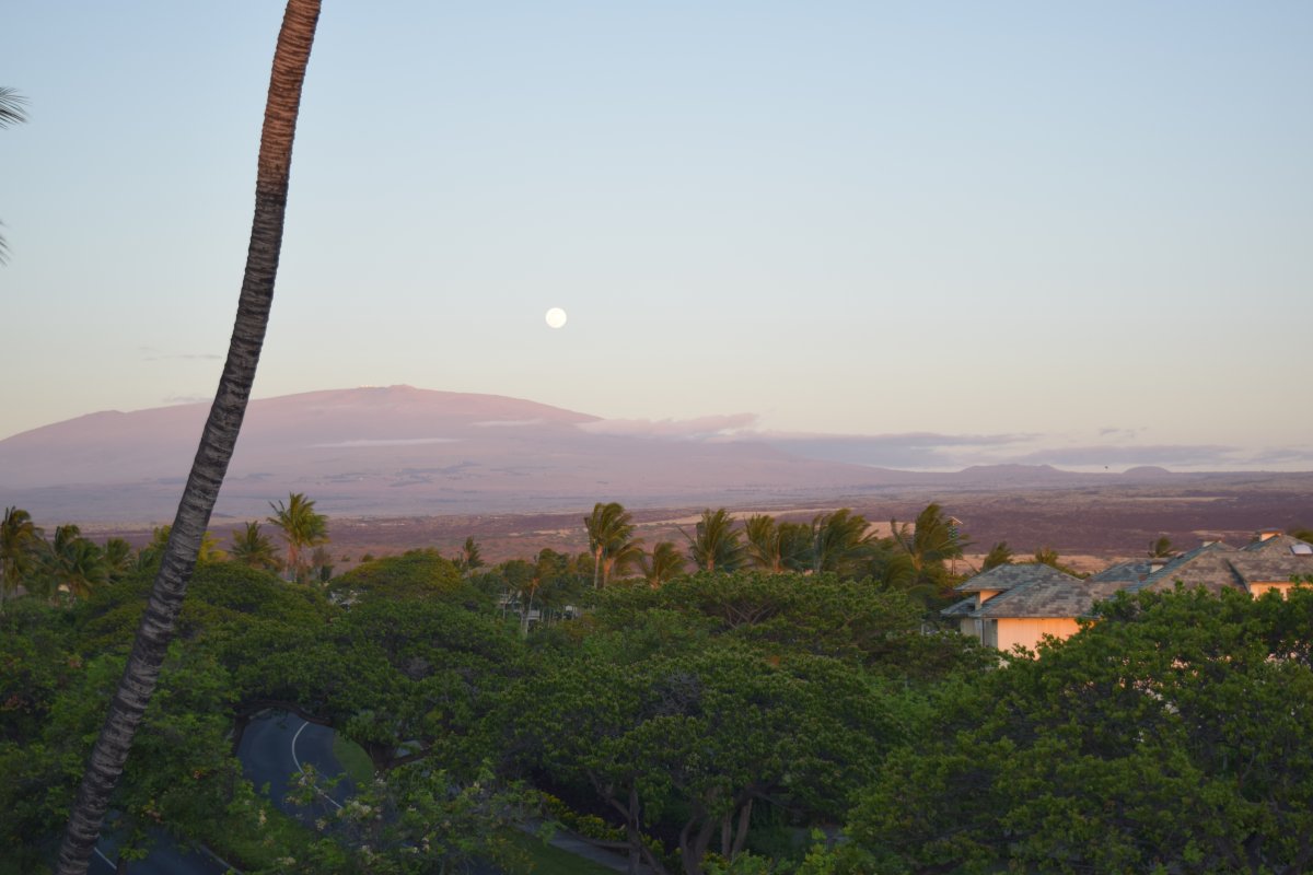 Mauna Kea View by John Di Rienzo - Exotic Estates