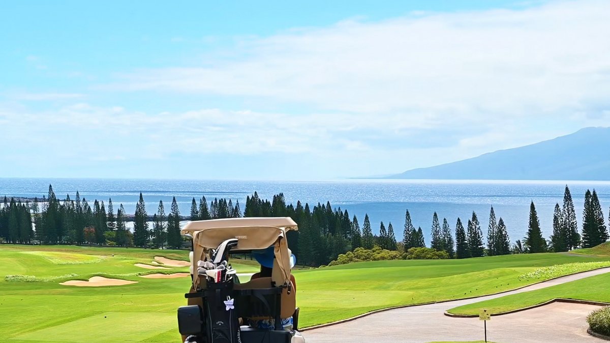 Kapalua Golf Course View - Exotic Estates