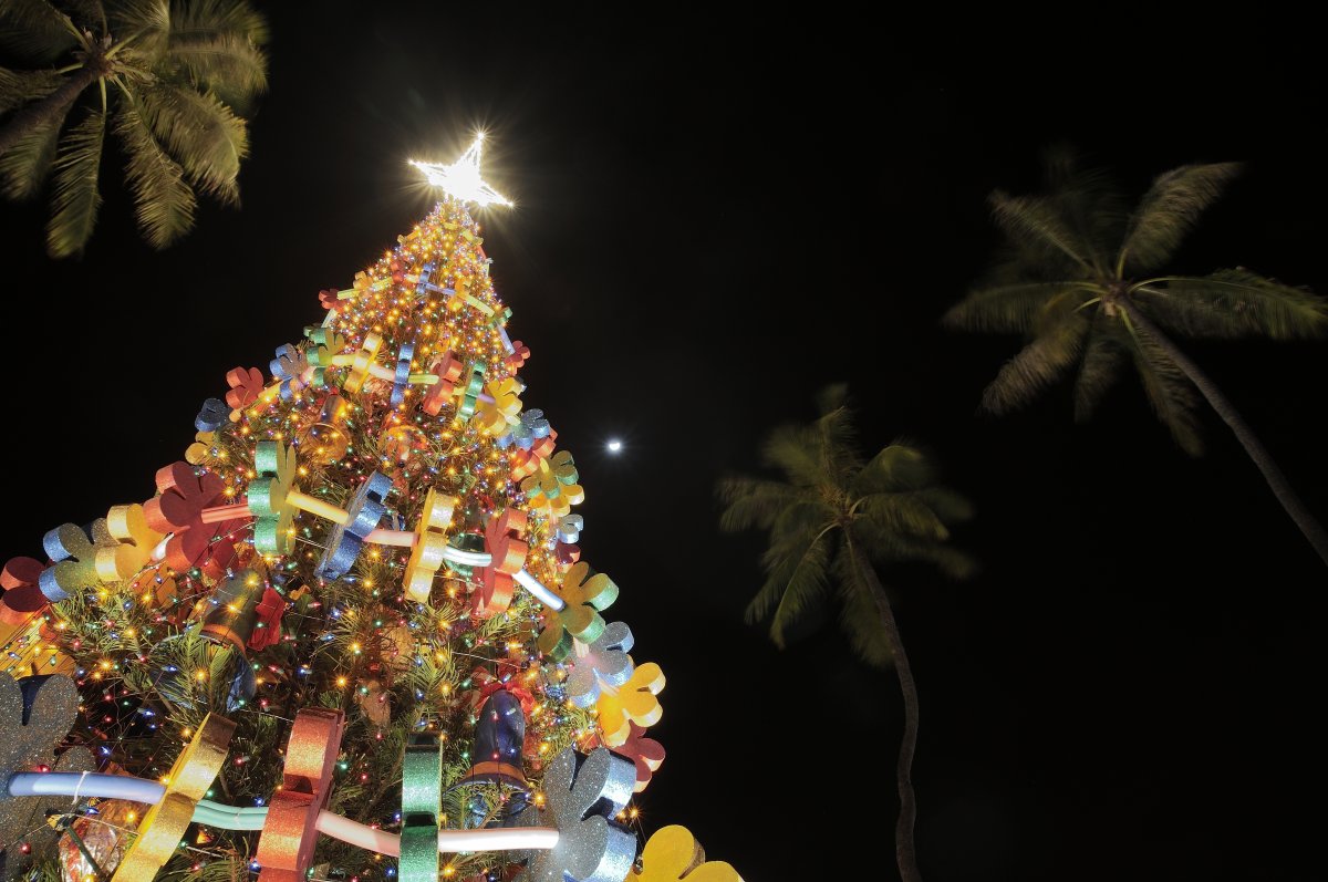 Honolulu City Lights Christmas - Exotic Estates