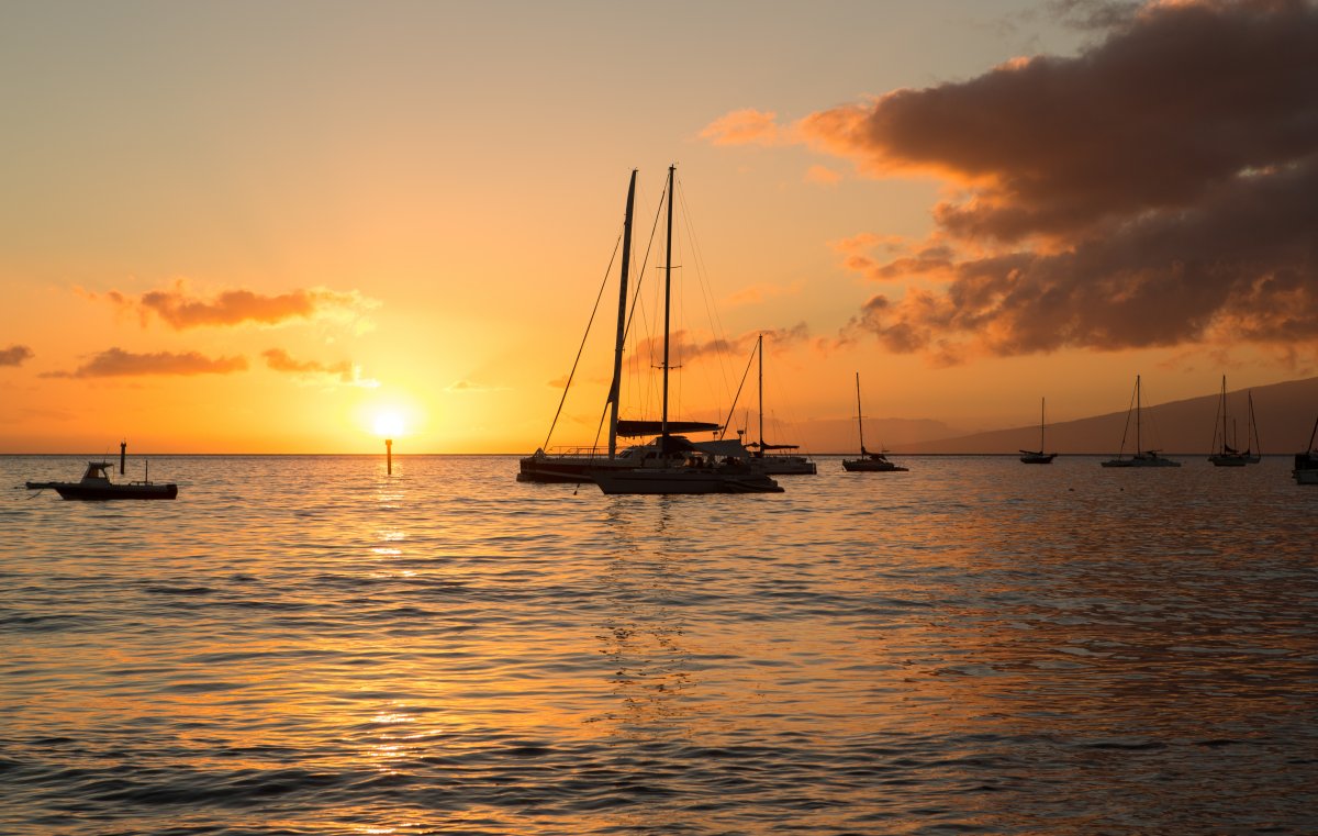 Exotic Estates Maui Harbor Sailboat Sunset