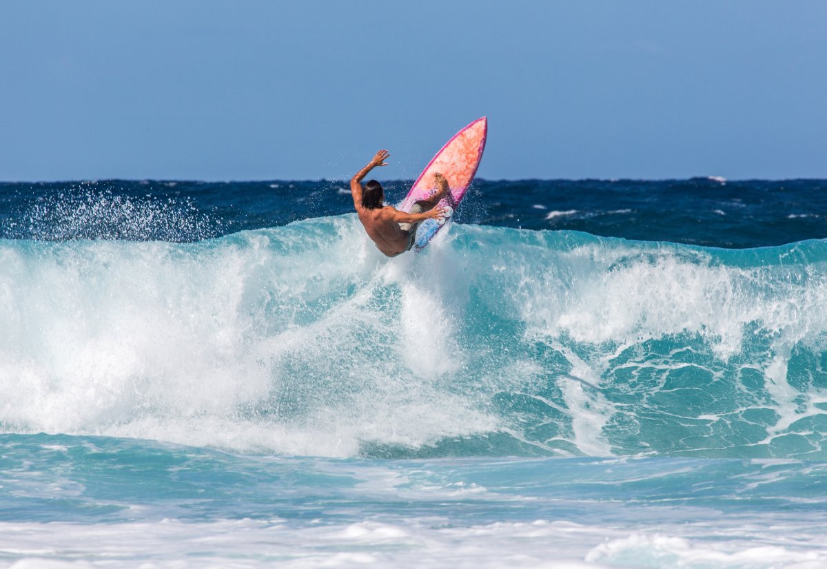 Hawaii Surfing - Exotic Estates
