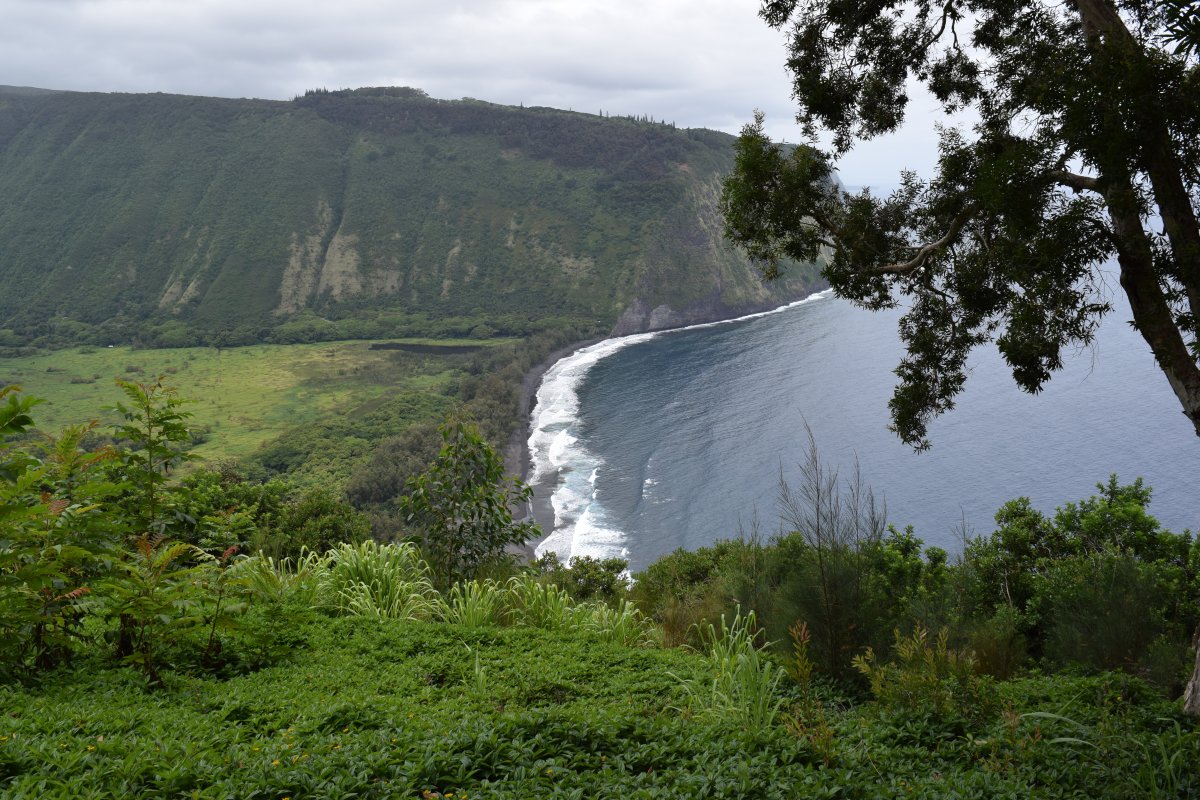 Waipio Valley Big Island by John Di Rienzo Exotic Estates