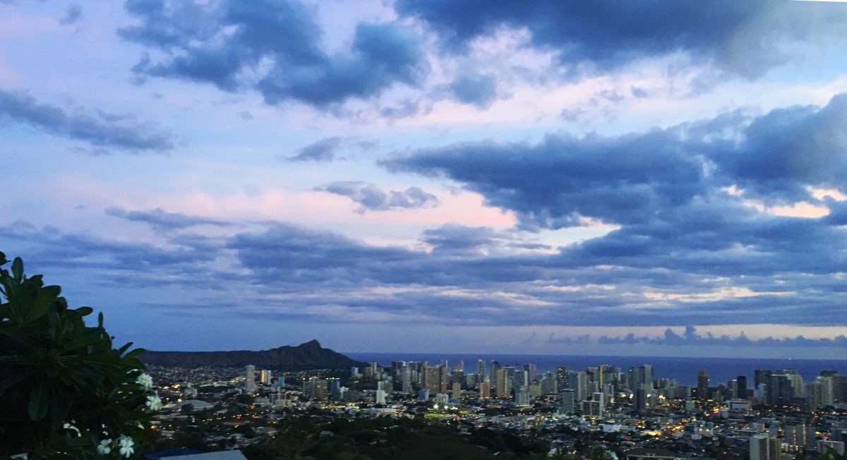 Tantalus View Oahu by John Di Rienzo Exotic Estates