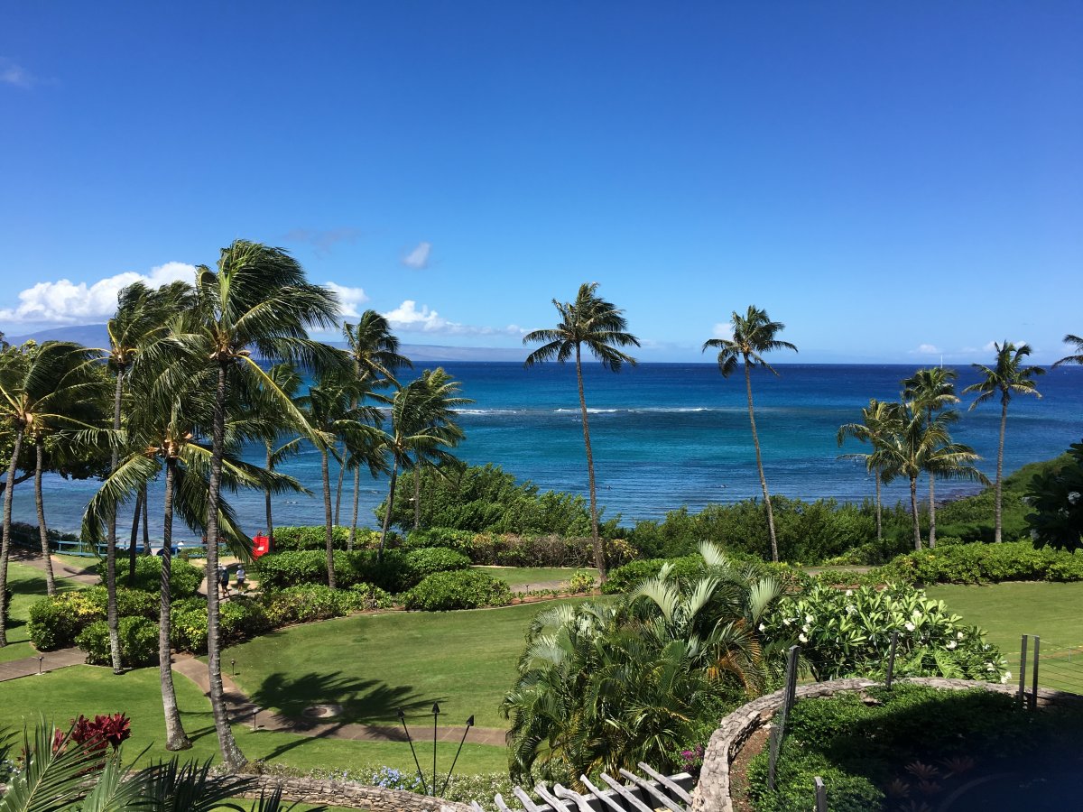 Kapalua Bay by John Di Rienzo - Exotic Estates