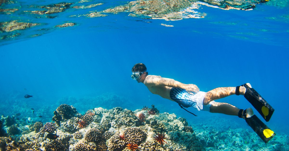 Snorkeling in Maui Exotic Estates