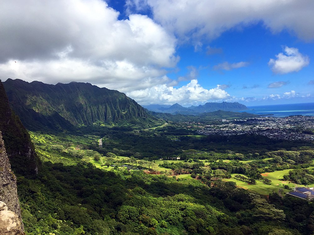 Exotic Estates Kailua Oahu by John Di Rienzo