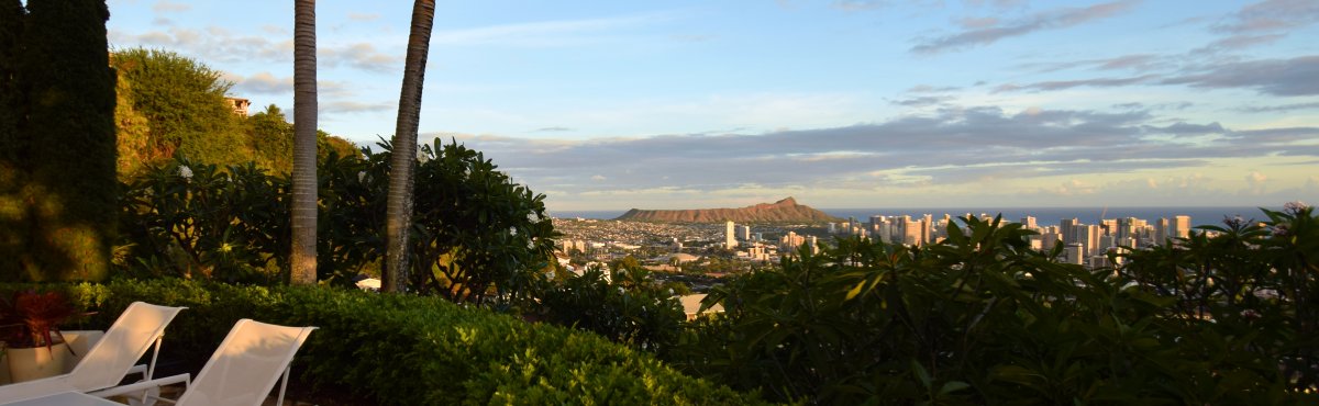 View of Waikiki and Diamond Head - by John Di Rienzo