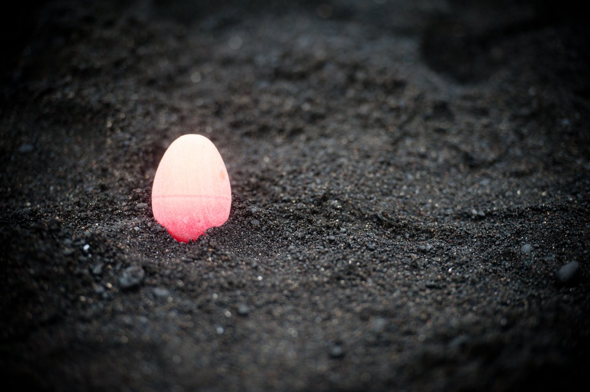 Easter in Hawaii, pink egg on black-sand beach taken by Exotic Estates, Vacation Rentals