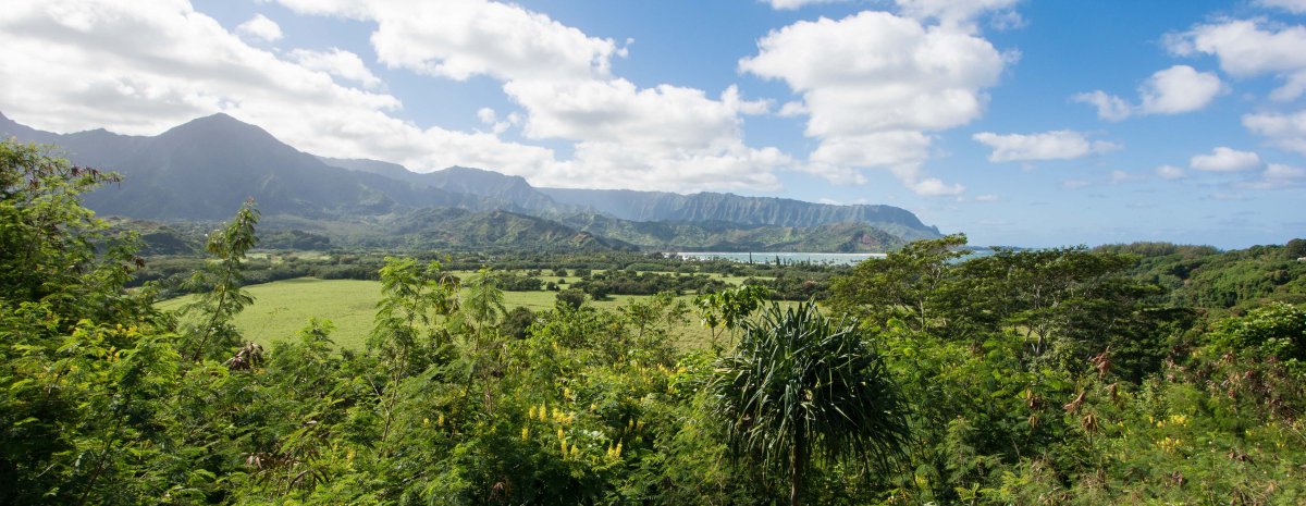 View of Hanalei valley and bay on the north shore of Kauai.