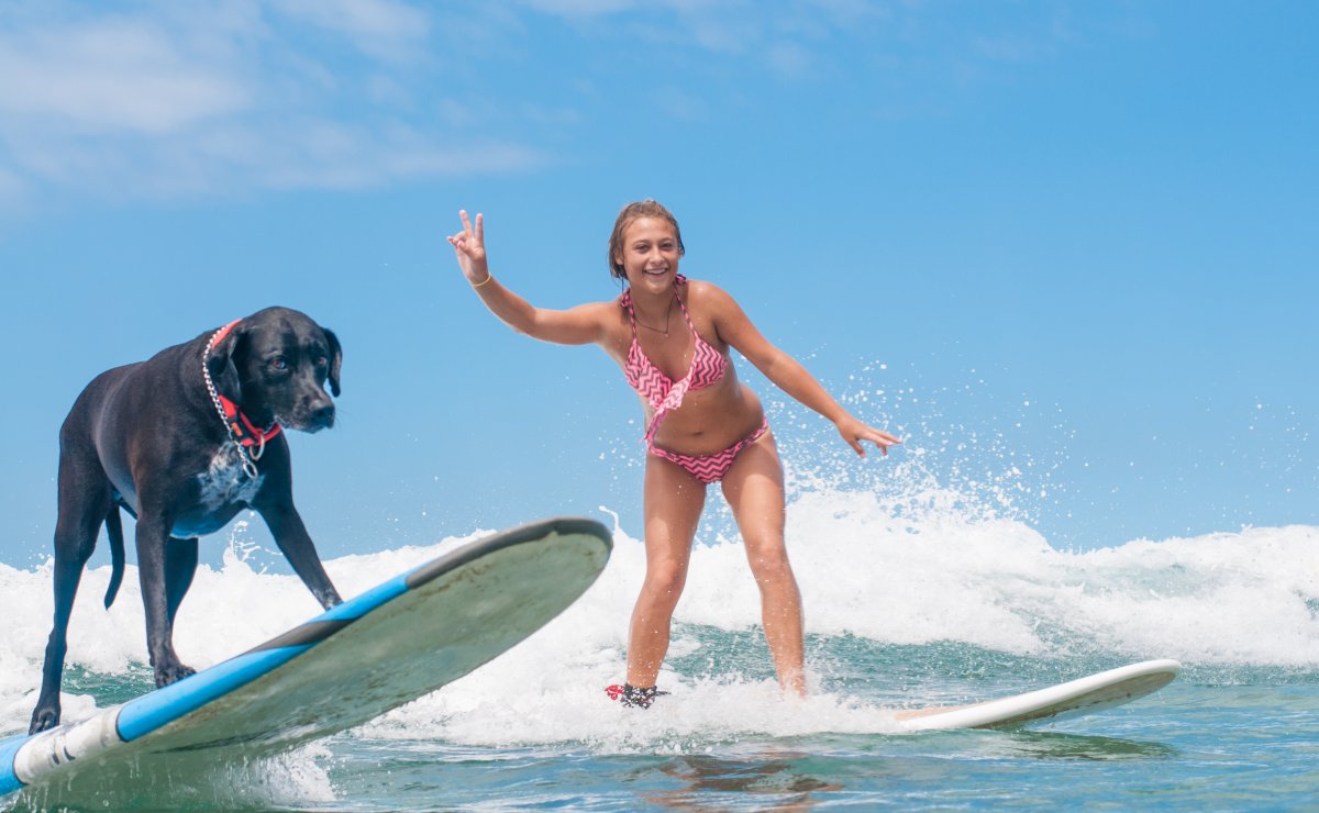 Surf Dog, Surf Girl, Maui Surf Lessons, Girl Surfer, Surf Lessons, Girls Surf Lessons, Exotic Estates, Vacation Rentals