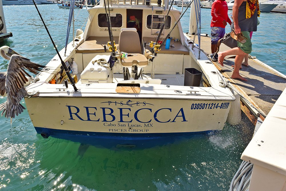 Exotic Estates Cabo San Lucas Fishing Boat Rebecca