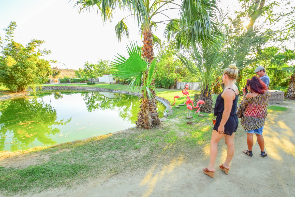 Farm View, Flora Farms, Farm to Table, Organic Dining San Jose Del Cabo, Exotic Estates, Vacation Rentals