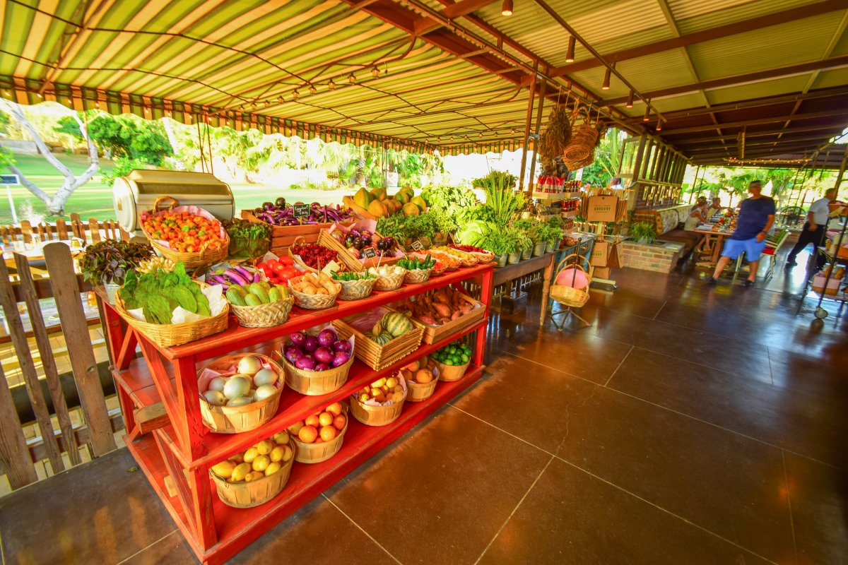 Produce Stand, Flora Farms, Farm to Table, Organic Dining San Jose Del Cabo, Exotic Estates, Vacation Rentals