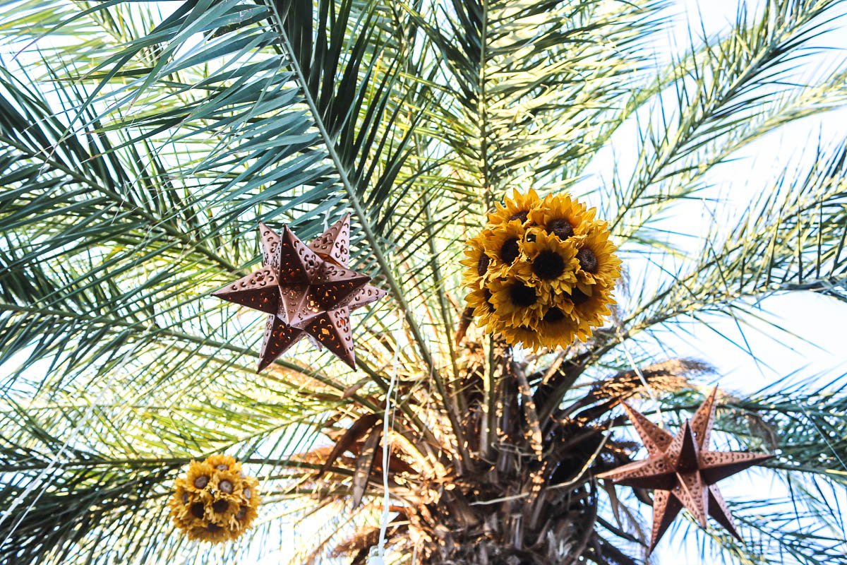 Christmas in Los Cabos with Exotic Estates Palm Tree Christmas