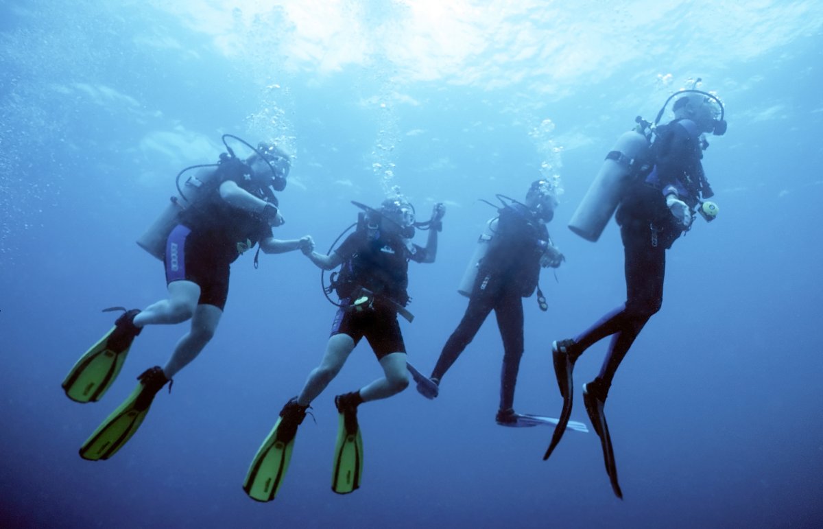 Hula Girl Snorkeling Tour, Scuba Diving, Exotic Estates, Vacation Rentals