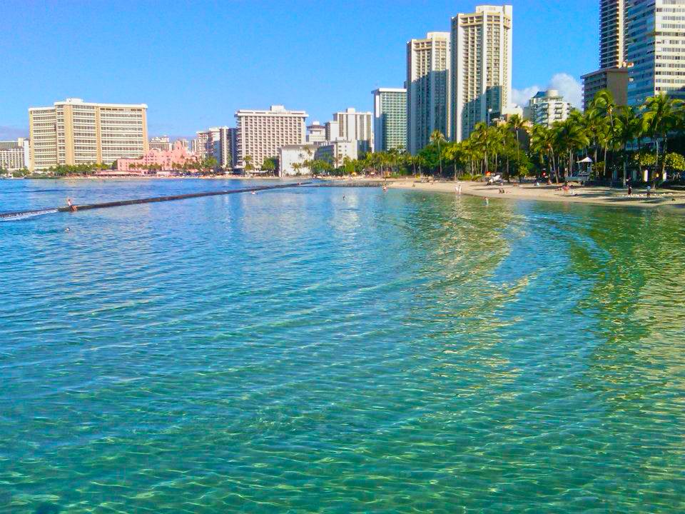 Waikiki by John Di Rienzo - Exotic Estates