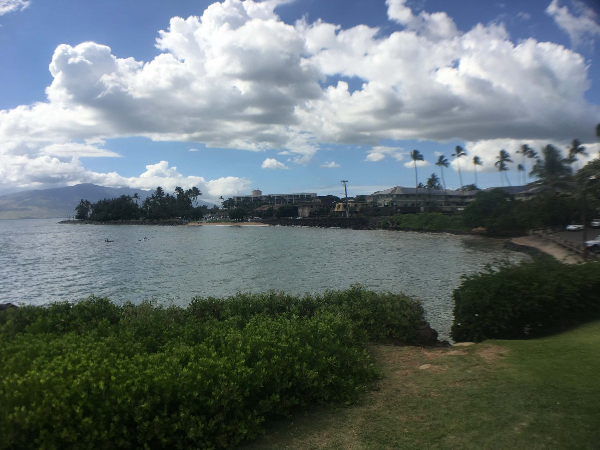 View of The Cove in Kihei, South Maui