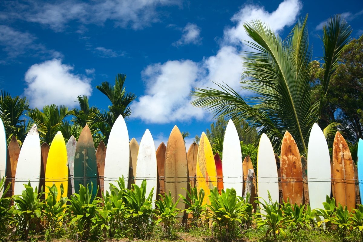 Surfing in Maui, Exotic Estates Vacation Rentals, Hawaii Surfing