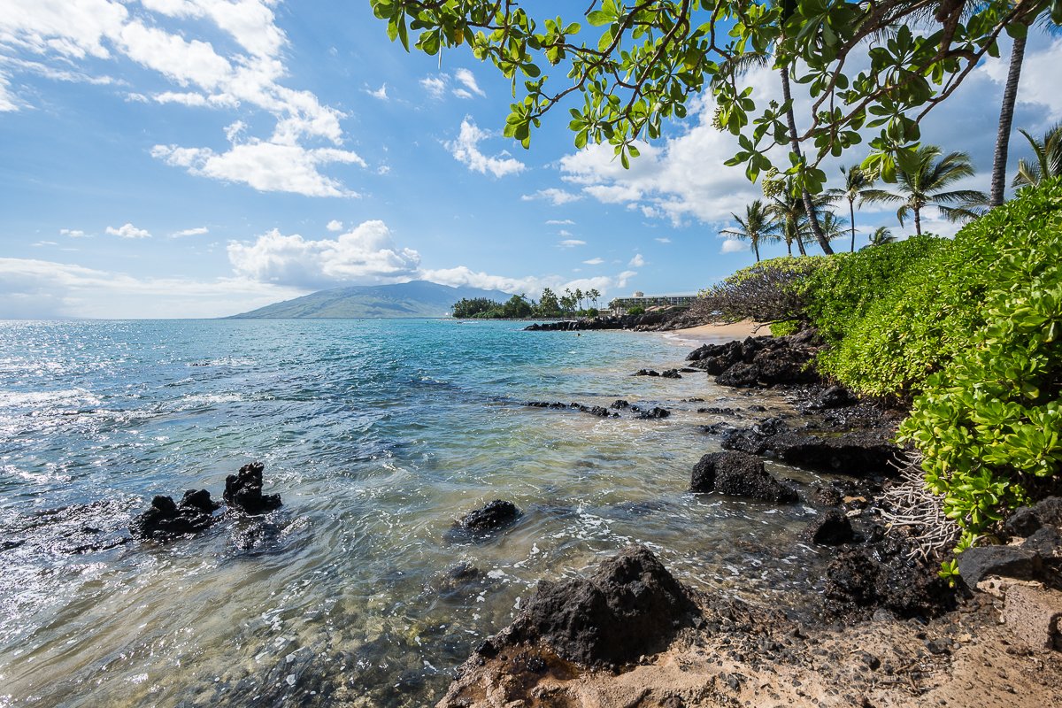 Exotic Estates Vacation Rental Inspections Maui Kihei