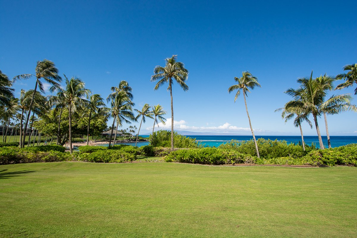 Exotic Estates Vacation Rental Maui Inspection Kapalua Montage Condos