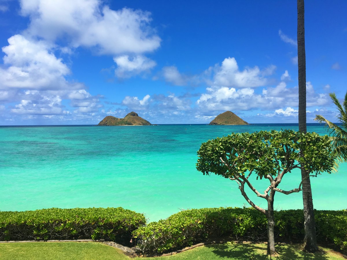 Exotic Estates Oahu Villa - Paul Mitchell Lanikai Villa - Mokes View