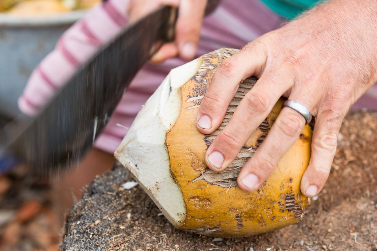 Exotic Estates Maui Vacation Rentals, Punakea Palms Coconut Farm Tour