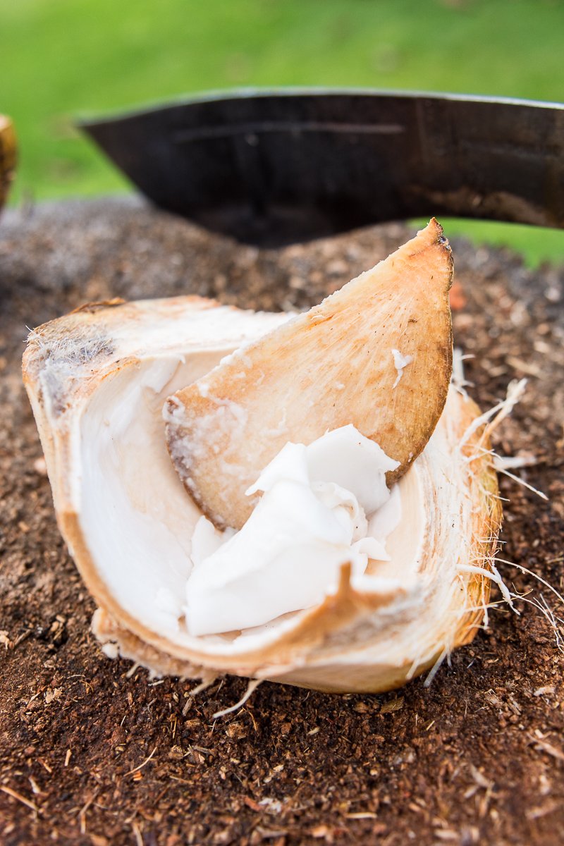Exotic Estates Maui Vacation Rentals, Punakea Palms Coconut Farm Tour