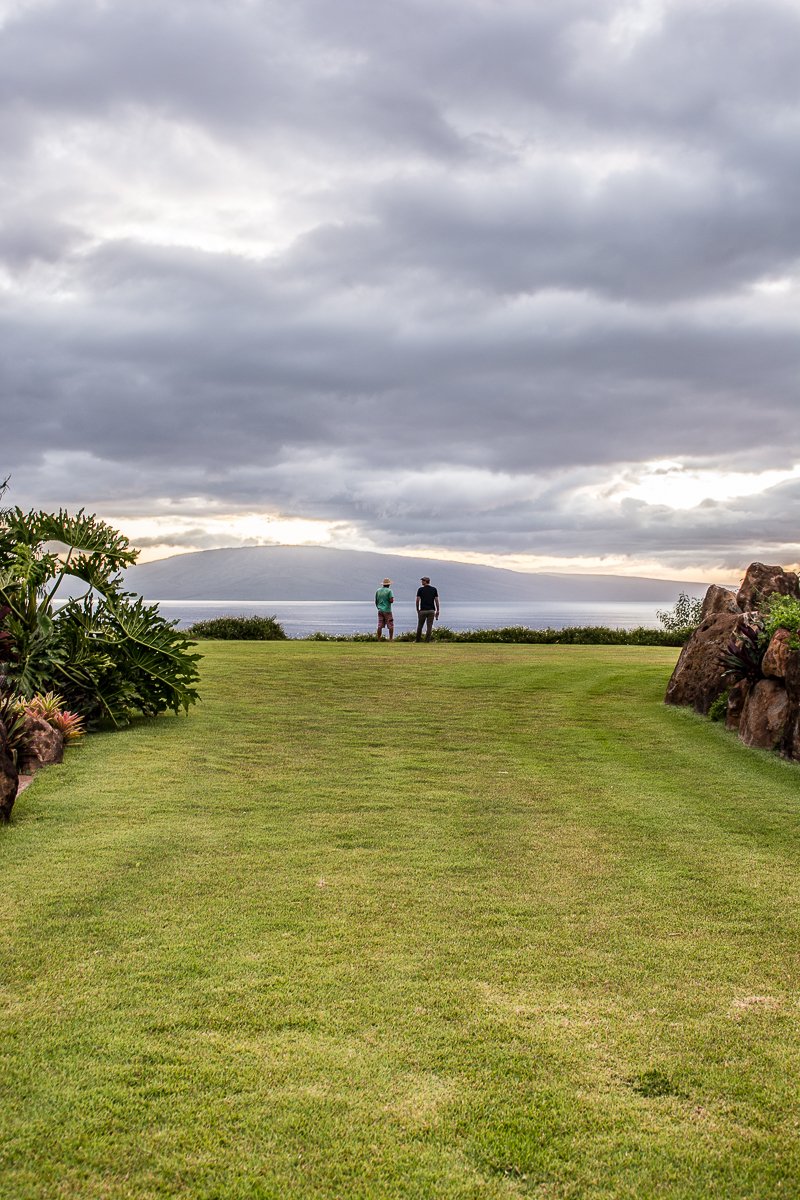 punakea palms tour