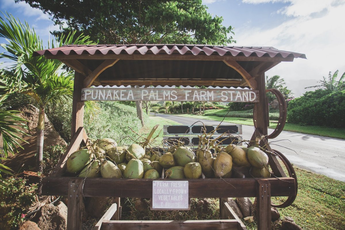 punakea palms coconut farm maui