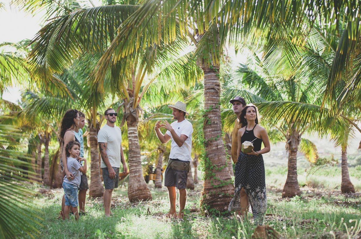 Exotic Estates Maui Vacation Rentals, Punakea Palms Coconut Farm Tour