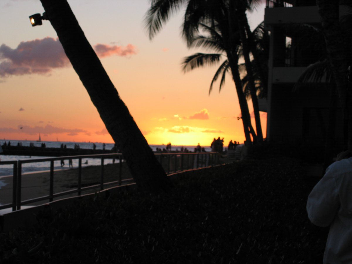 Halekulani Sunset  - John Di Rienzo