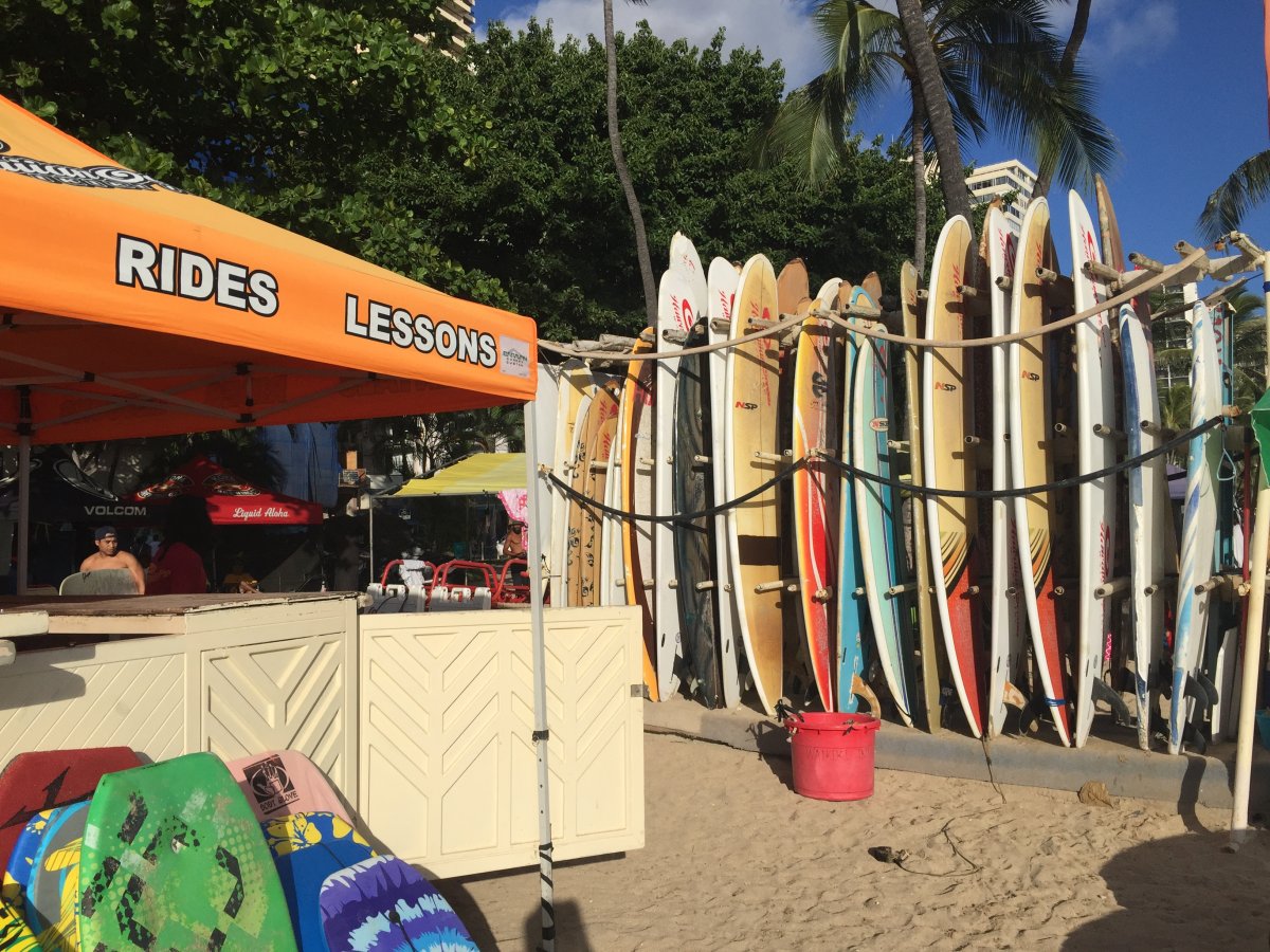 Exotic Estates Waikiki Surf Rental Pic