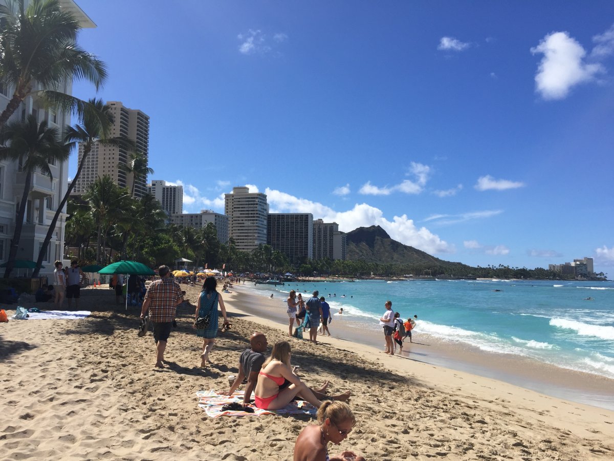 Exotic Estates Waikiki Beach Pic