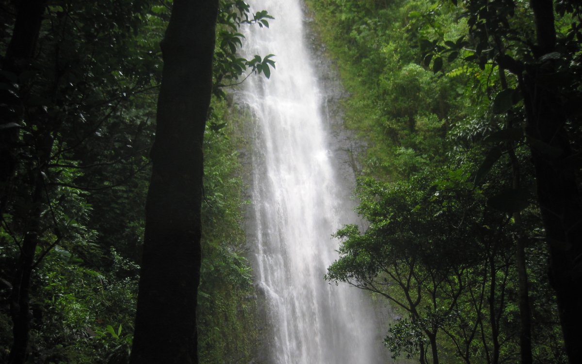 Exotic Estates Hawaii Waterfall