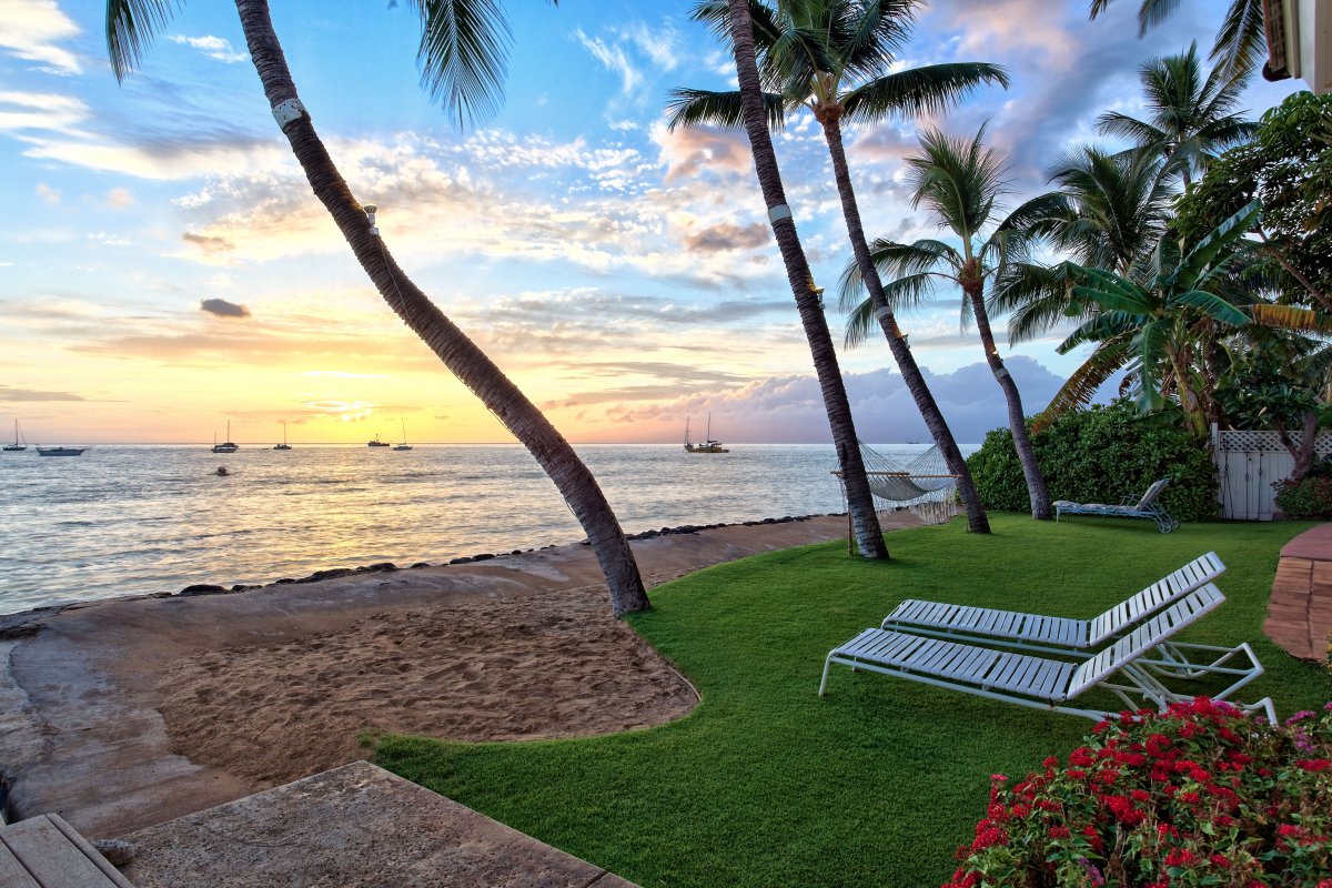 oceanfront whale watching maui, exotic estates