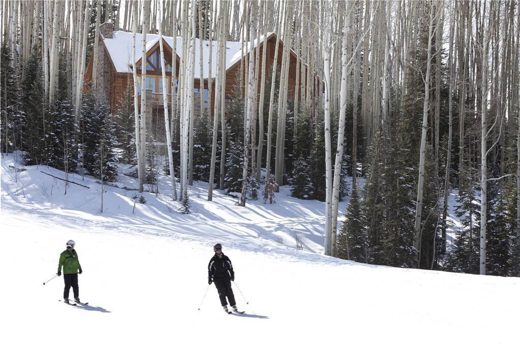 Exotic Estates, Telluride vacation rental, Telluride vacation homes