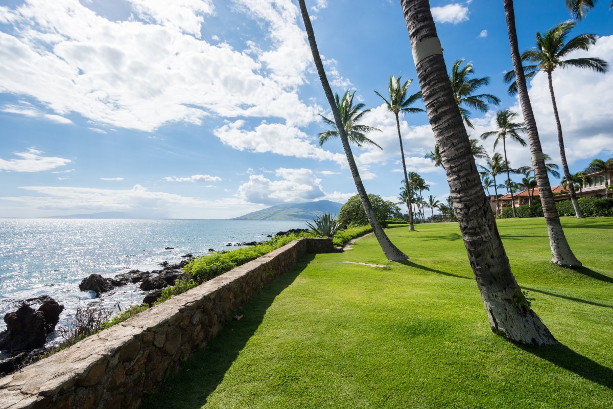 Earth Day Exotic Estates -- photo of oceanfront park in Kihei