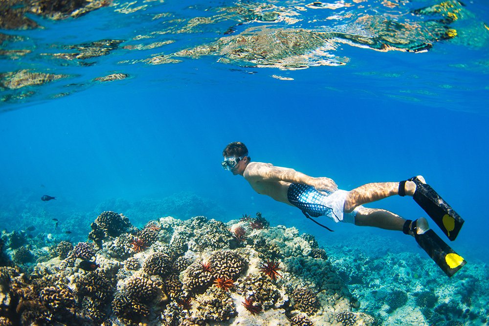 Coral Reefs Hawaii - Exotic Estates