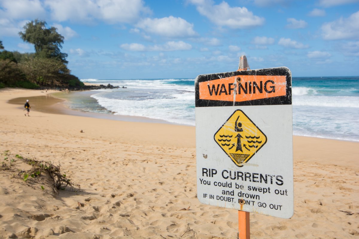 Kauai Beach - Exotic Estates - by Shanon Searls