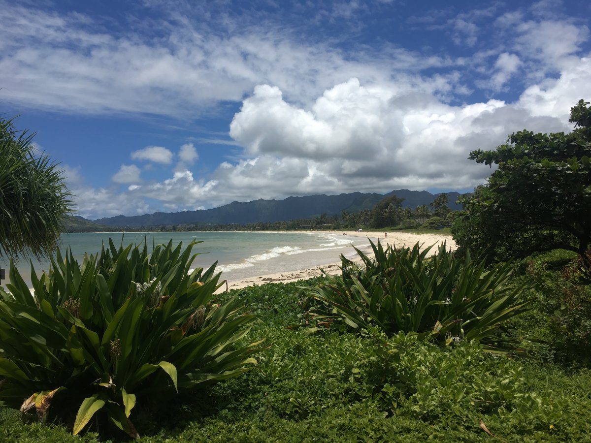 Kailua Beach Oahu - Exotic Estates - by John Di Rienzo