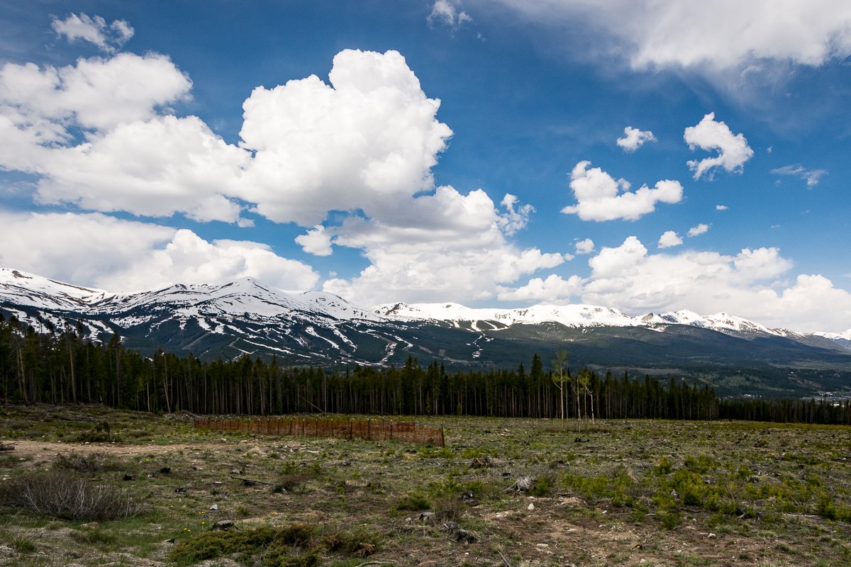 Exotic Estates Breckenridge Vacation Homes