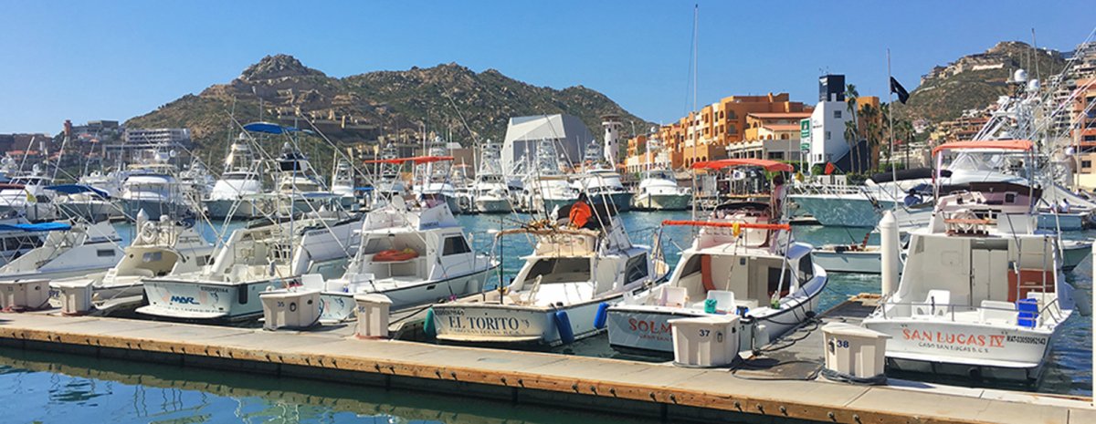 Fishing boats moored in Cabo San Lucas Harbor - John Di Rienzo