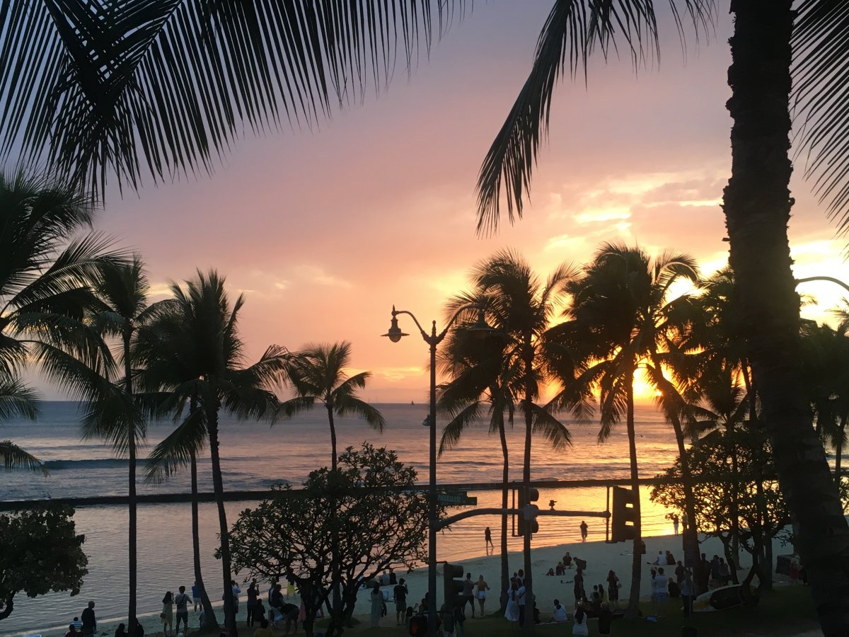 Waikiki Oahu by John Di Rienzo 