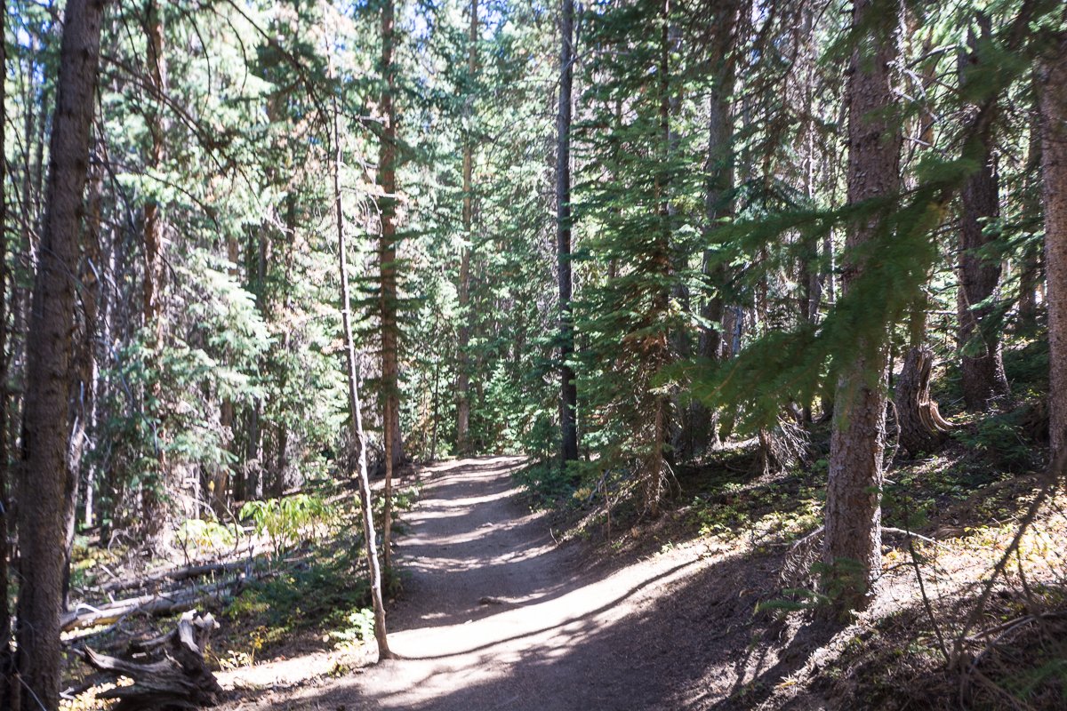 Trail to Troll in Breckenridge, List