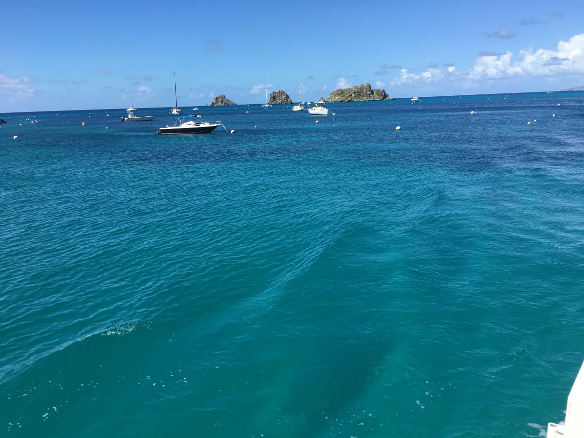 St Barths Harbor by John Di Rienzo