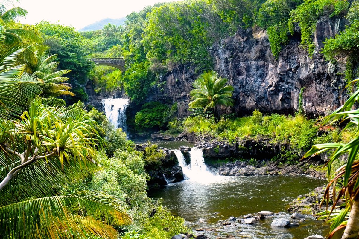 Maui - Sacred Pools - Exotic Estates (stk)