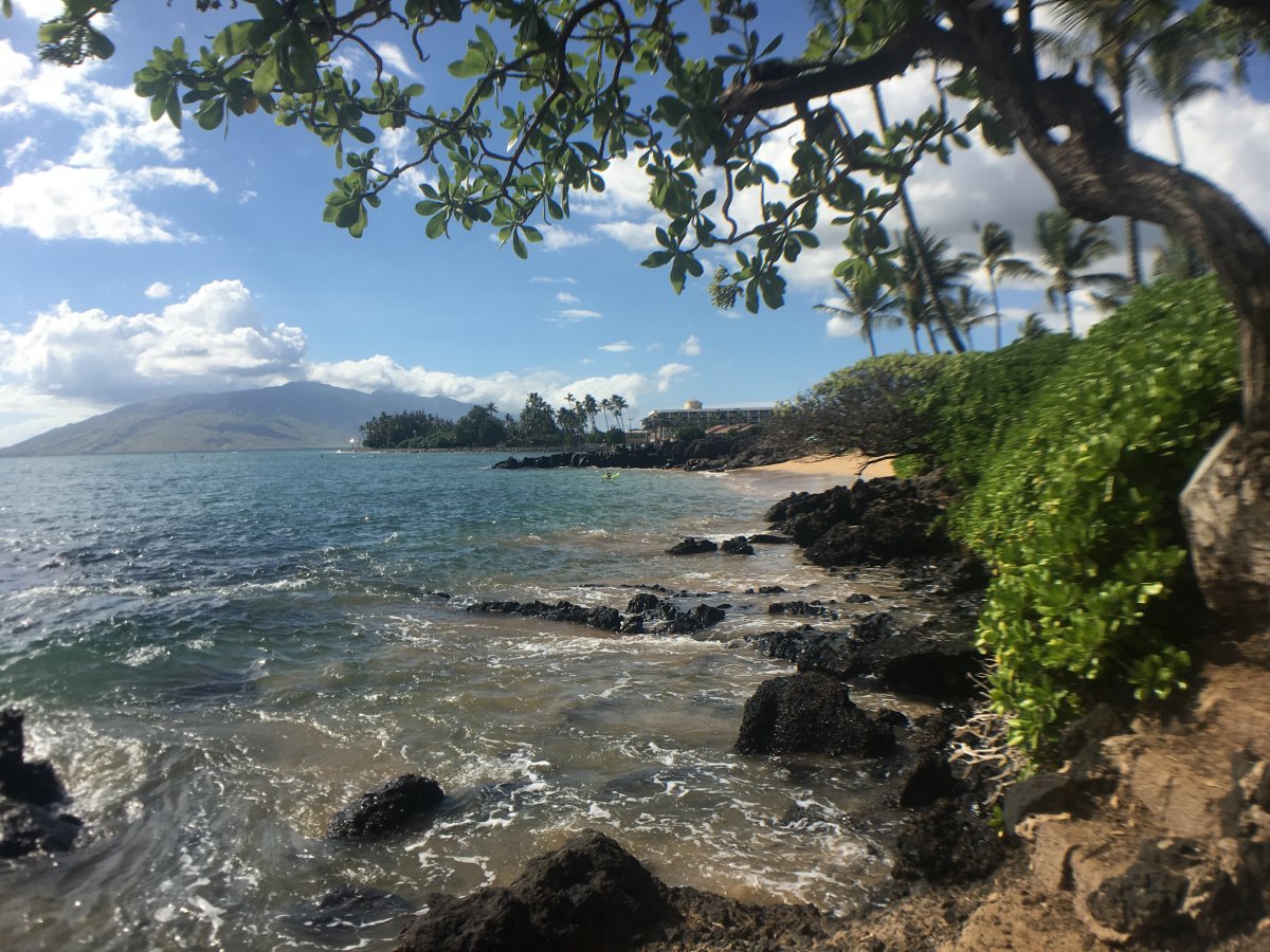 South Maui - John Di Rienzo 