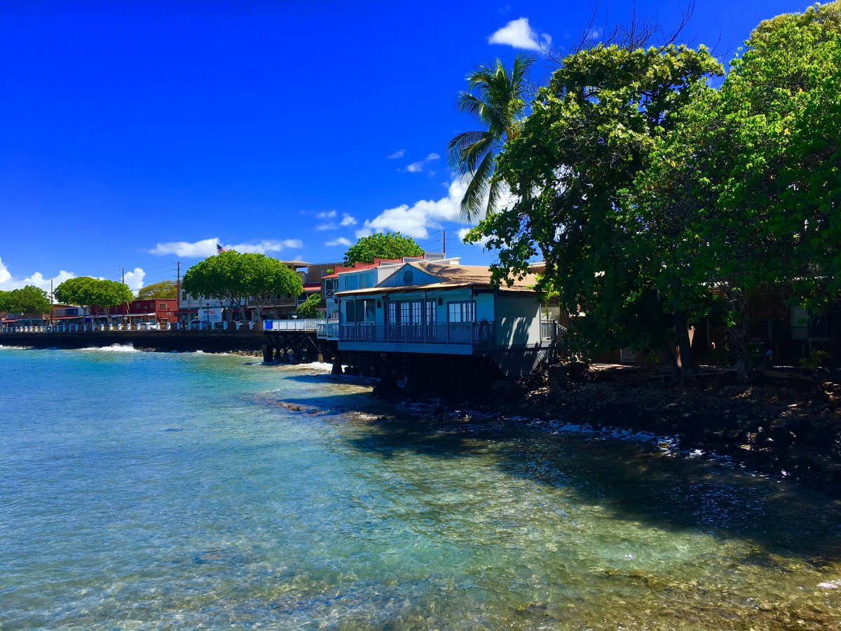 Lahaina Shore - John Di Rienzo - Exotic Estates