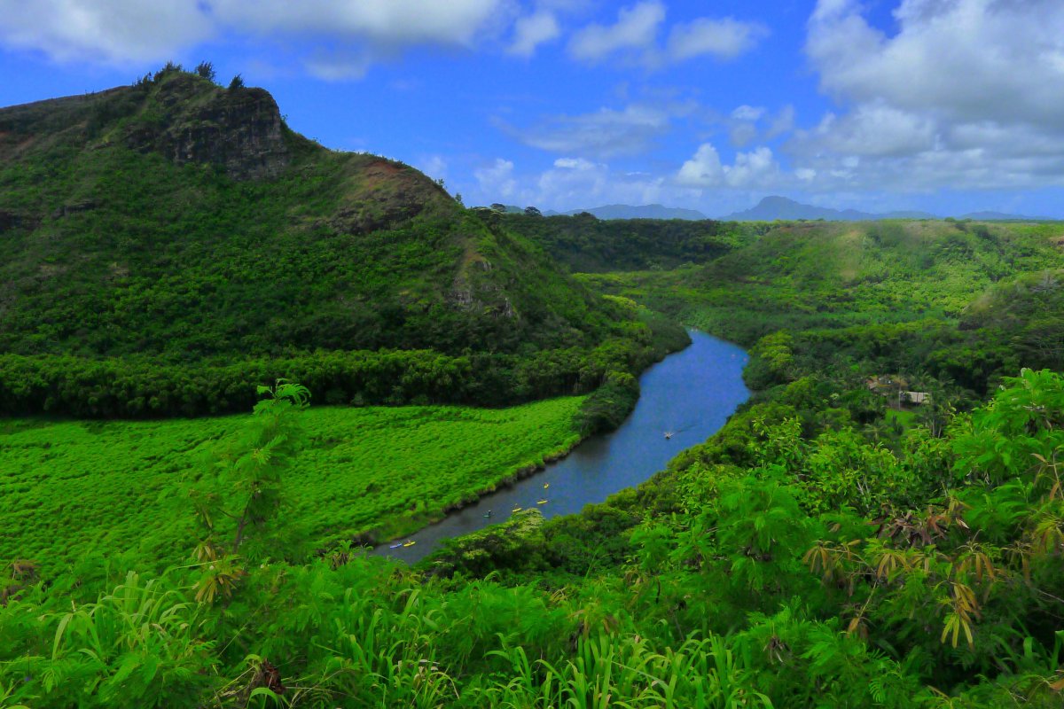 Wailua River Kauai